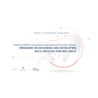Road to a FAIR ENVRI-Hub: Designing and Developing Data Services for End Users