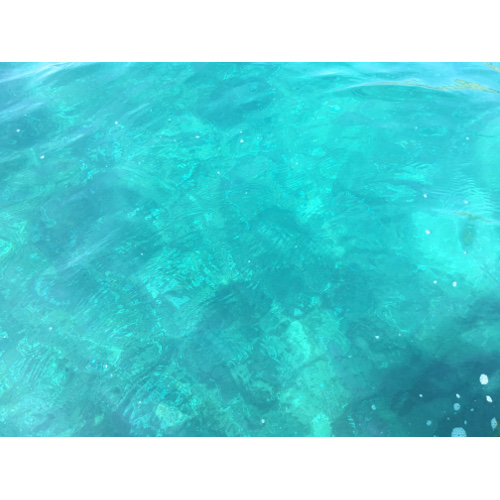 Il Pianeta Blu: Dall'evoluzione degli oceani alla circolazione oceanica